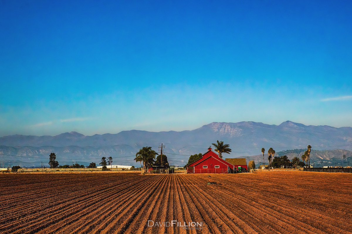 Red Barn and farmlands outside of Oxnard, California 

#california_igers #california #socal #oxnardcalifornia #redbarn #farmland #farmlandscape #oxnard #barnyard #red #blue #blueskies #instaphoto #photograghy #sonyalpha #a99ii #SonyAlphasClub #sonyImages #dfproductions