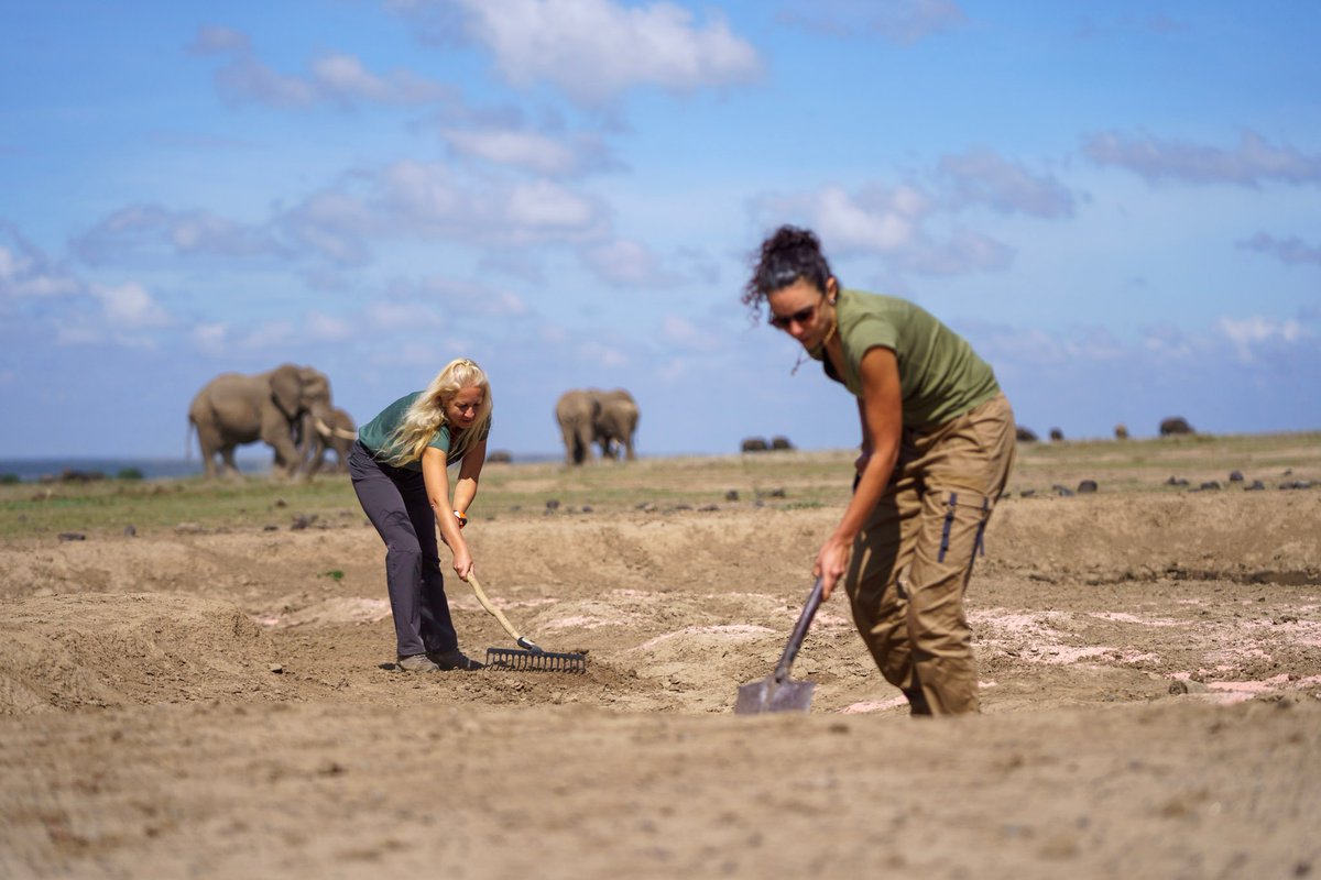 Unlock the coolest adventure in Kenya, the ICE experience! Designed to ignite your sense of adventure and immerse you in the wonders of wildlife conservation, ICE offers you a unique blend of excitement, education and exploration. 

Thread 👇