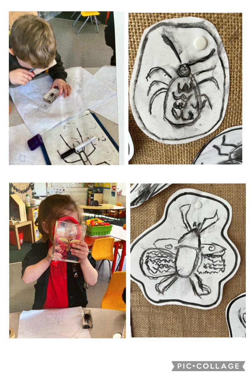 Dosbarth Mrs Bethan Jones yn arsywli ar drychfilod..🎨 #dosbarthderbyn #creadigrwydd #minibeasts @CyngorGwynedd @LlC_Addysg @CelfGwyneddArts @Arts_Wales_ @cyw @RhAG1