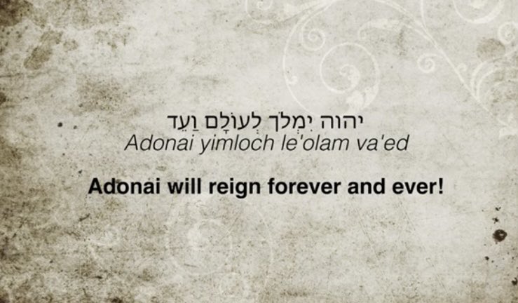 STUDY AND OBEY THE COMMANDS DEUTERONOMY 11 V 13 I command you this day to ❤️the LORD your GOD and to serve Him with all your heart and soul V 14 I will give you 🌦️ V 15 I will send grass for thy cattle V 16 Serve no other god V 19 Teach your children