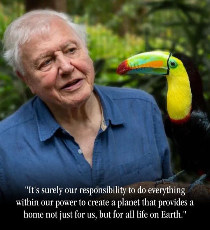 Happy 98th birthday to the voice of nature.. Sir DavidAttenborough! Thank you for inspiring millions of us to cherish & protect our beautiful planet.