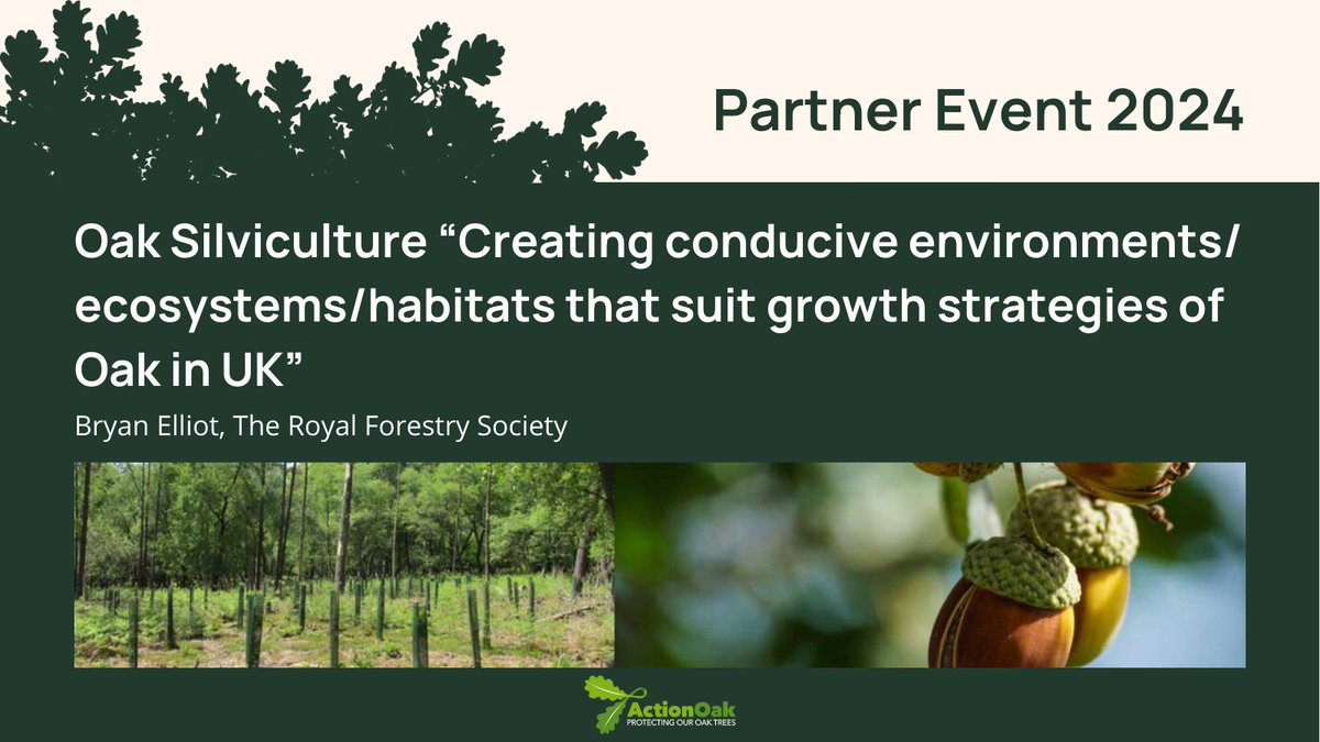 Bryan Elliot from @royal_forestry presents, Oak Silviculture 'Creating conductive environments/ecosystems/habitats that suit growth strategies of Oak in UK'. 🌳🌳🌳 #PlantHealthScience #ActionOakPartnerEvent2024 #PlantHealthWeek