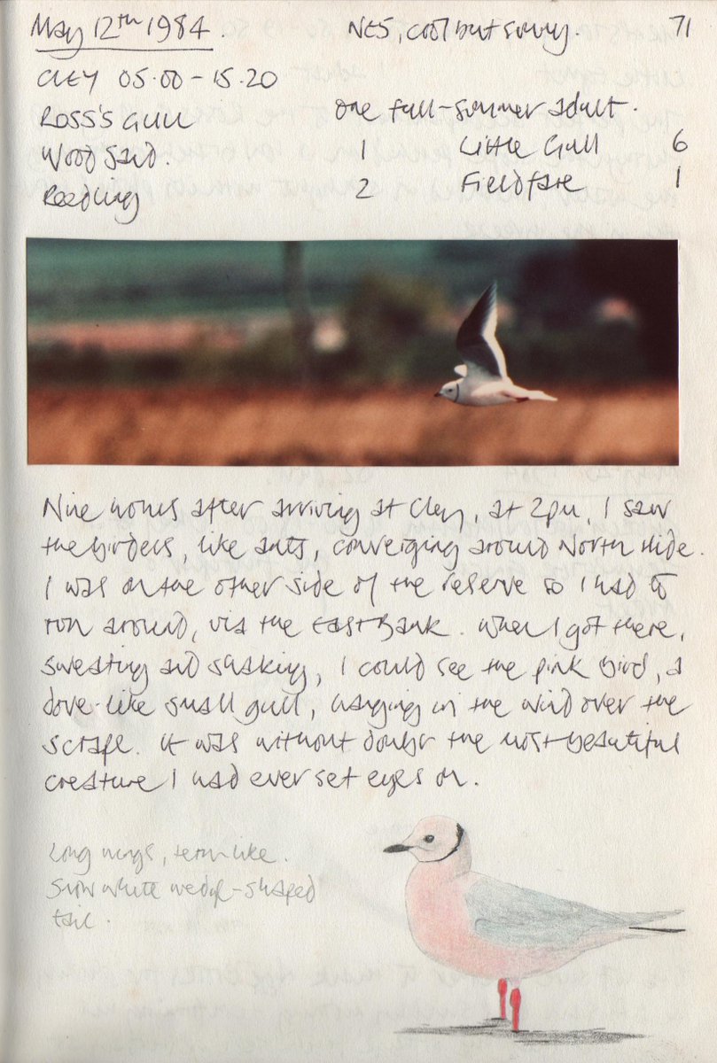 Nigel Wheatley tweet media