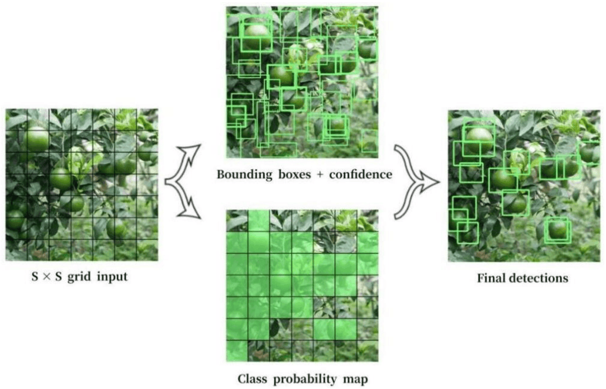 Sensors_MDPI's tweet photo. Green Citrus Detection and Counting in Orchards Based on YOLOv5-CS and AI Edge System
https://t.co/JjgLJrxmS4
#GreenCitrus #ObjectDetection #VirtualRegion #YOLOv5-CS #AIEdgeSystem https://t.co/Zt8u11LqFb