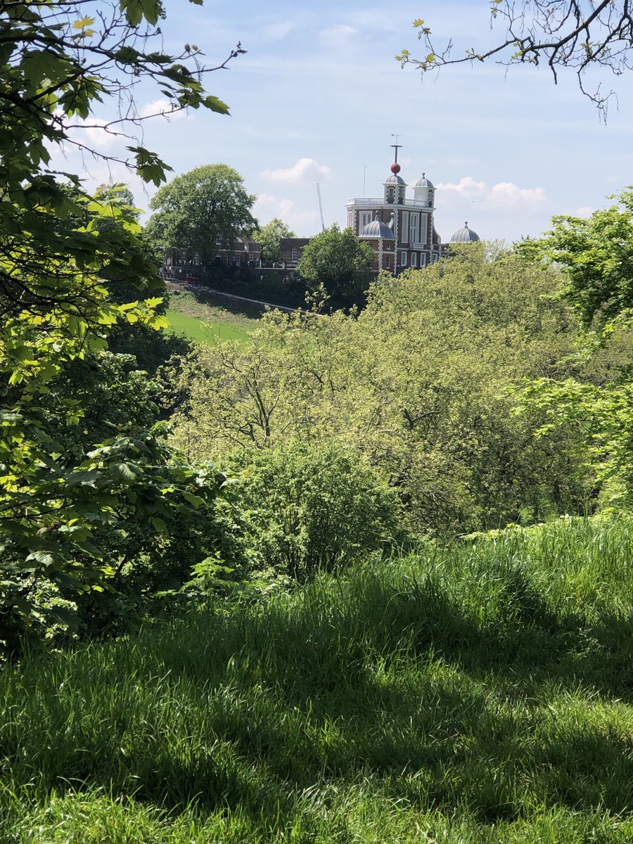 Love Greenwich Park!