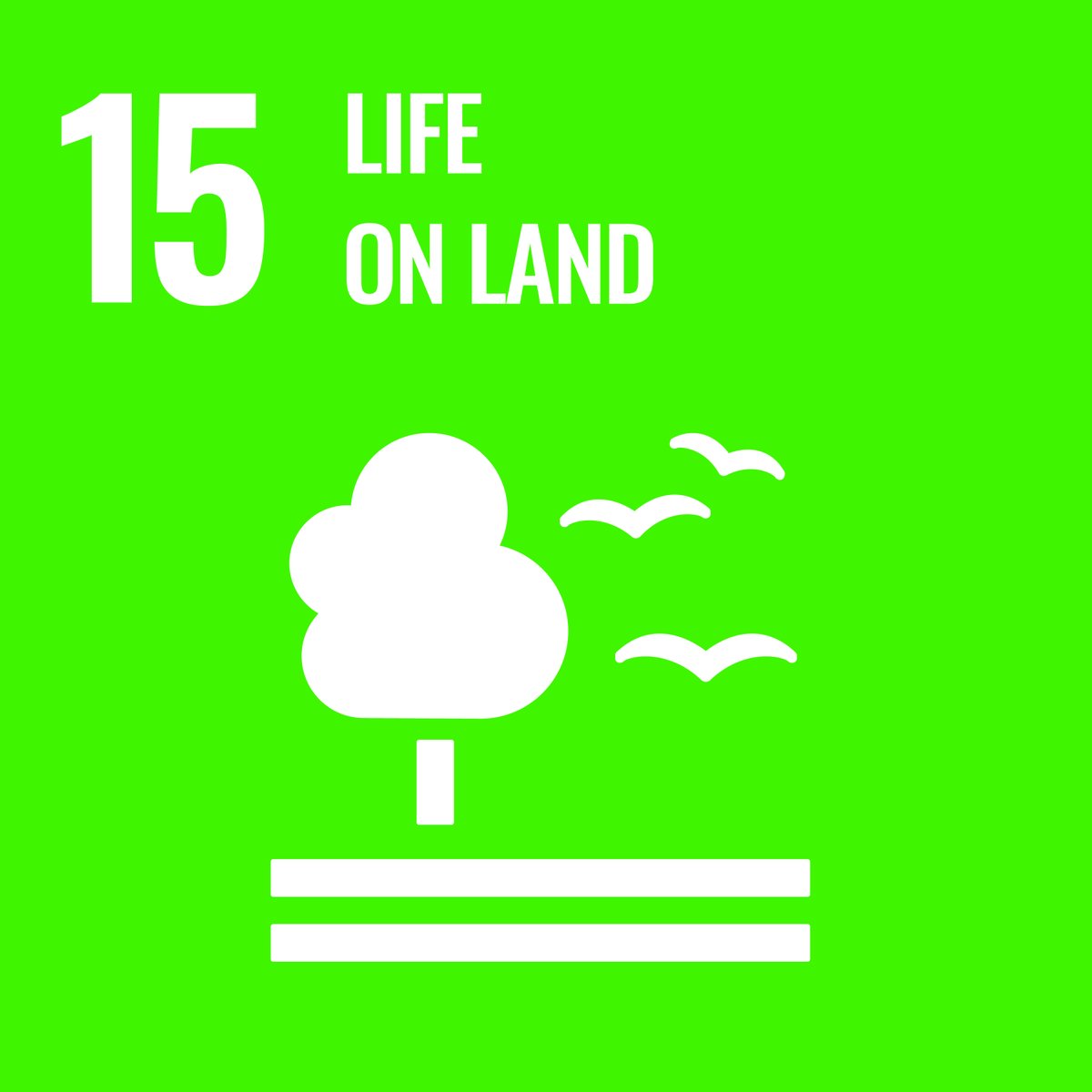 The world is facing a triple crisis of #climatechange, #pollution & #biodiversity loss. 🌍 #SDG15 – Life on Land – is @UN's Goal of the Month. At the #OPECFund, we're committed to partnering for SDG15's success!
🔗 Learn more about the Goal of the Month: bit.ly/3AsQa0G