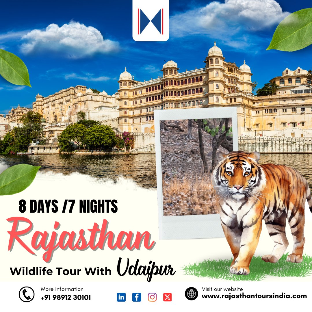 Experience the wild side of Rajasthan with a captivating 8-day tour, including Udaipur. Encounter majestic wildlife amidst the royal landscapes.

🌐rajasthantoursindia.com

#rajasthantoursind #rajasthanwildlife #udaipurtour #wildlifeencounter #royallandscapes #wildlifesafari
