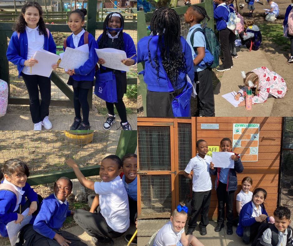 Year 3 had a lovely trip to the farm yesterday to support our learning around cave art. We sketched the animals to create our final pieces of cave art using our charcoal skills and exploration of natural paints. We even had a go at doing this under the table like in a real cave!