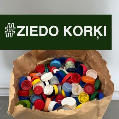 Arī mēs, Liepājas RAS darbinieki, esam iesaistījušies akcijā #ziedokorķi.

Plašāka informācija par akciju: tavidraugi.lv/2023/11/08/zie…

#atbalstsukrainai #labiedarbi