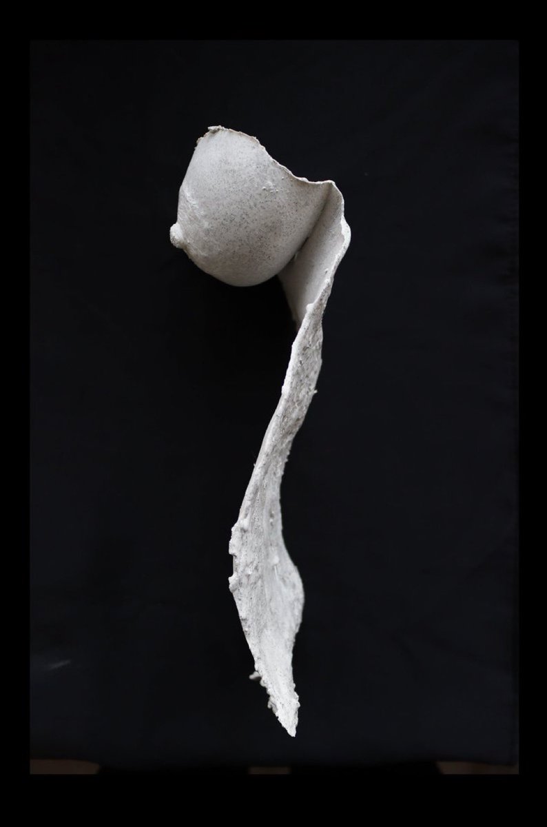 NFTCritica's tweet image. Moments in time 

1. @NoortjeStorteld 
2. @studio_brasch 

#NFTCuration