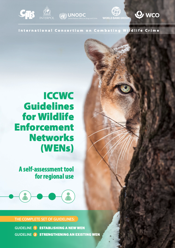 The WEN Guidelines developed by #ICCWC assist Wildlife Enforcement Networks in evaluating their performance & identifying areas to focus on 👮 Available in 🇬🇧🇫🇷🇪🇸 Read the guidelines: bit.ly/4b9oSxY More tools: bit.ly/3hPGHuS #TogetherAgainstWildlifeCrime