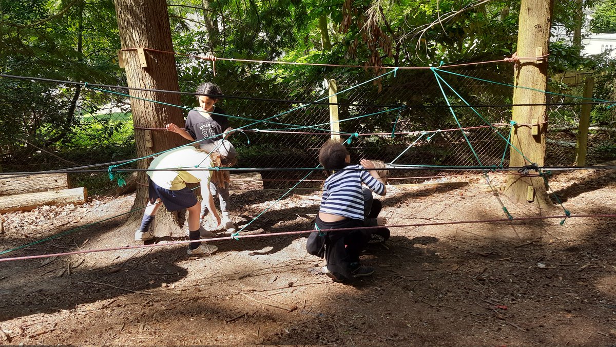 Y4@fircroft.family tweet media