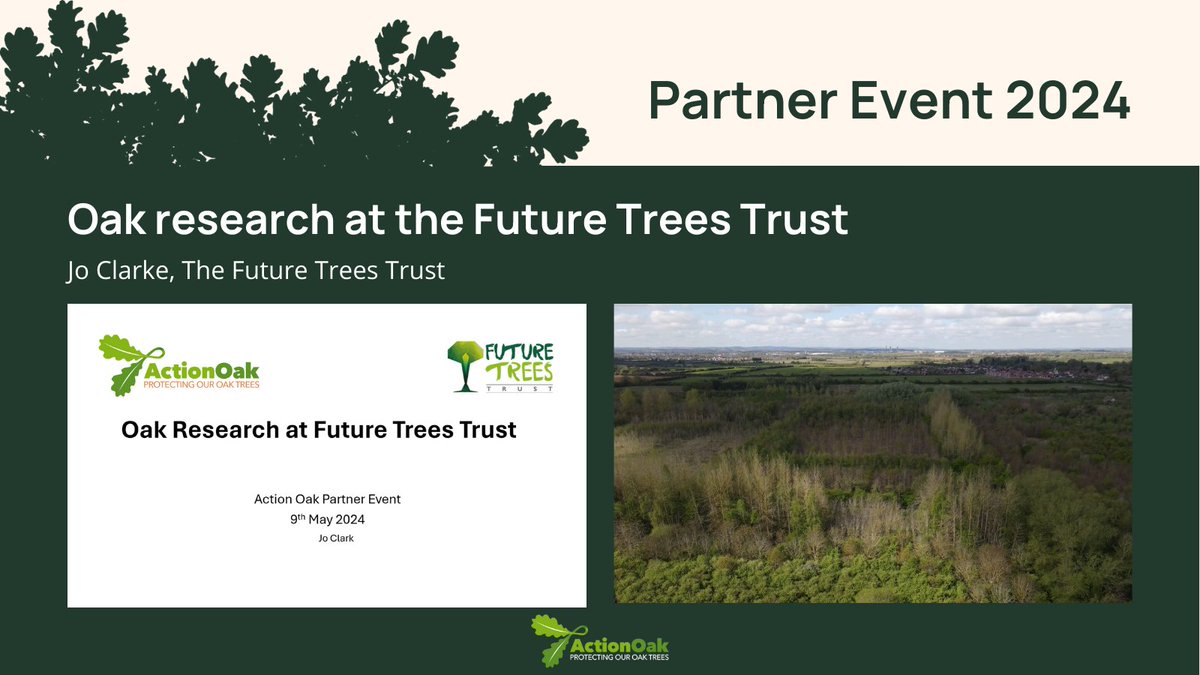 Jo Clarke from @FutureTreesUK presents, 'Oak research at the Future Trees Trust'. 🌳🌳🌳 #PlantHealthScience #ActionOakPartnerEvent2024 #PlantHealthWeek