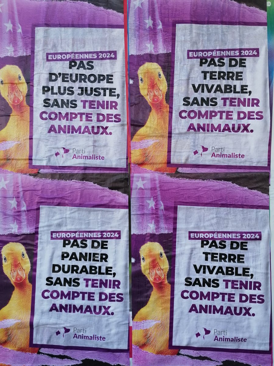 Ne manquez pas l'exposition plus ou moins temporaire de l'artiste #PartiAnimaliste, son courant réaliste vient trancher avec l'impressionnisme des autres exposants #europeennes2024