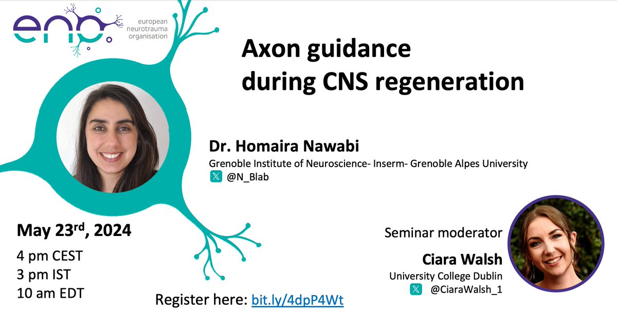 European Neurotrauma Organisation (ENO) (@enoneurotrauma) on Twitter photo We are delighted to announce that the next ENO webinar will take place on May 23rd 🎉
Dr. Homaira Nawabi will discuss her work on "Axon guidance during CNS regeneration", moderated by Ciara Walsh (<a href="/CiaraWalsh_1/">Ciara Walsh</a>)
Register here ✏️ bit.ly/4dpP4Wt We are delighted to announce that the next ENO webinar will take place on May 23rd 🎉
Dr. Homaira Nawabi will discuss her work on "Axon guidance during CNS regeneration", moderated by Ciara Walsh (<a href="/CiaraWalsh_1/">Ciara Walsh</a>)
Register here ✏️ bit.ly/4dpP4Wt
