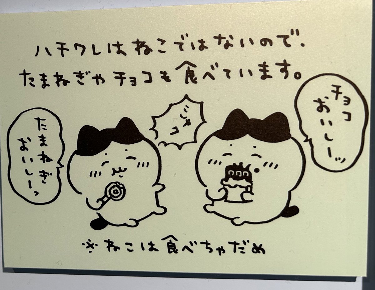 【ハチワレニャンコページ】 この子が猫じゃないのならば、もはや何が猫なのかわからないよ。#ちい