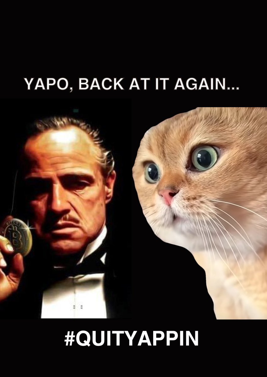 YapCatSol's tweet photo. https://t.co/wY1PbiFnyZ