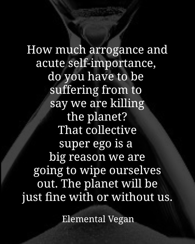 269 Justice tweet media