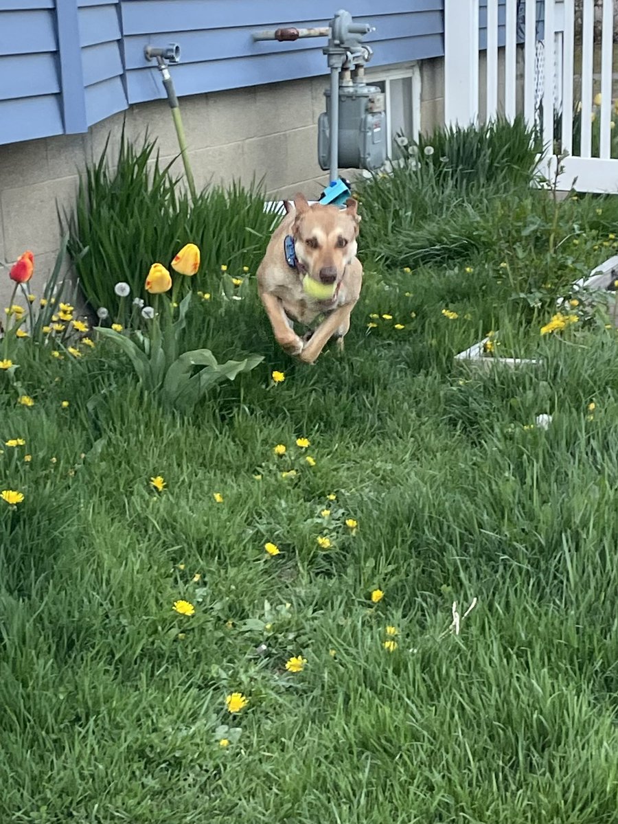 Dr. JudithE tweet media