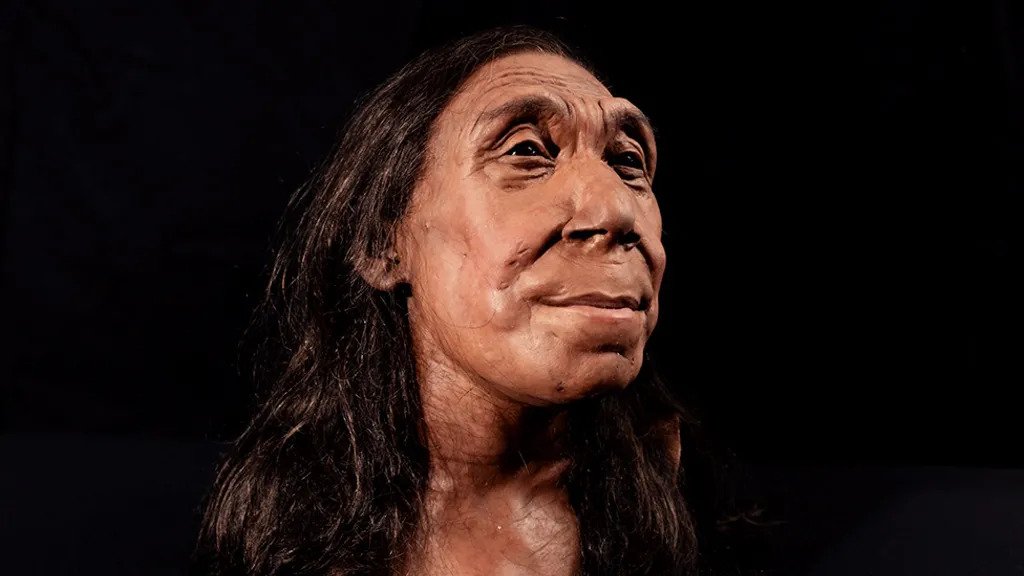 Secrets of the Neanderthals (review by Victoria Grossack)

douxreviews.com/2024/05/secret…

#SecretsoftheNeanderthals