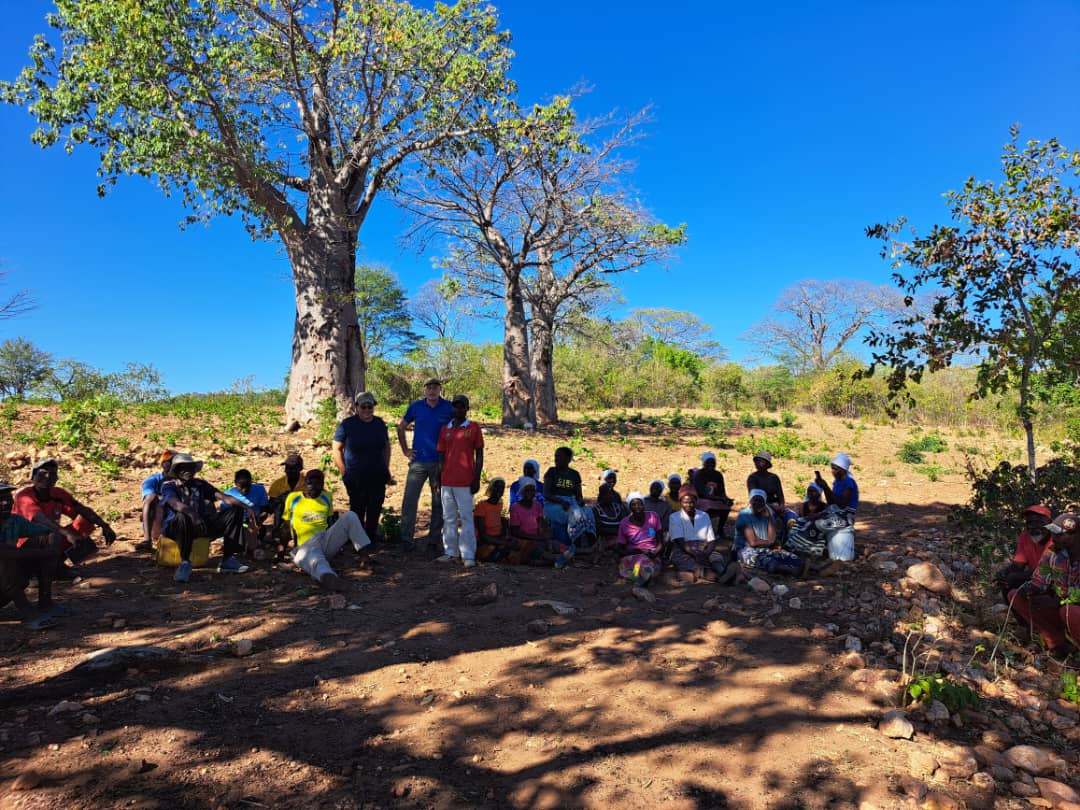 Pics taken during a recent visit by our team and an EU delegate to Pfungwe.They met some of our recent #biochar trainees who are smallscale farmers and are determined to use #biochar in improving the soil health of their plots @EU_Commission  @UNClimateSummit  @RTBE_Carboneg