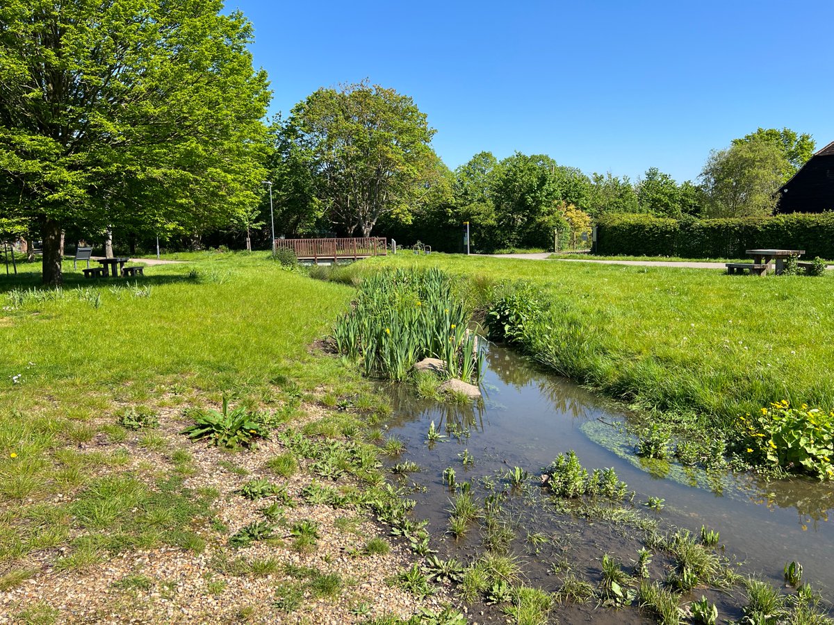 #virtualtour of the Crane Valley: Yeading Brook West at Headstone Manor Park @harrow_council, May 2024. @LondonNPC @FoHMRG @HeadstoneManor1 @HarrowParks  @HarrowNCF  @harrowonline @FriendsRivCrane @habsandheritage  @CPRELondon @Ramblers_London