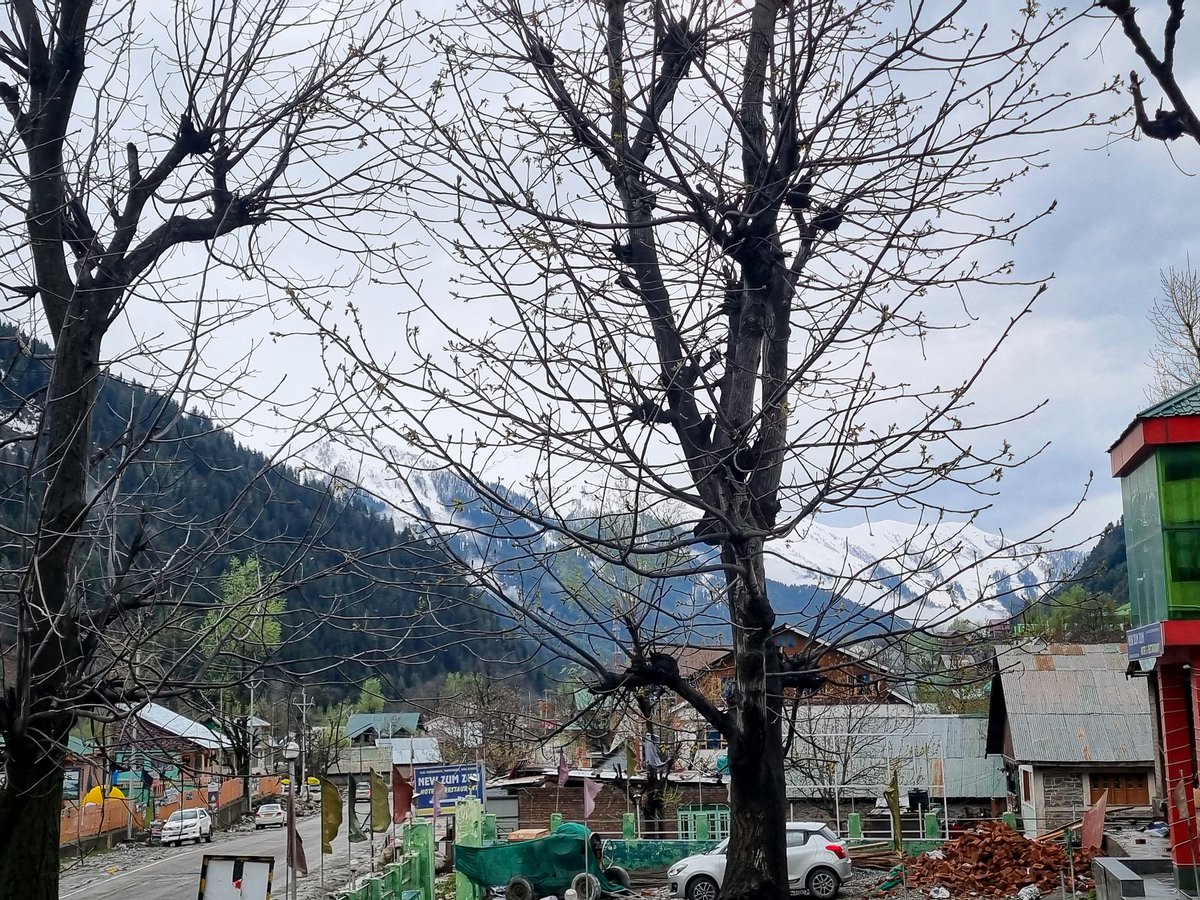 The beauty of Sonamarg, Kashmir.....❤️🏞✨️

#Sonamarg #Kashmir #Heaven