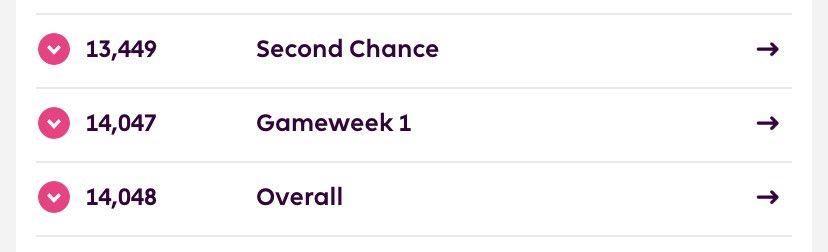 onscreenphoto 𓃡 tweet media