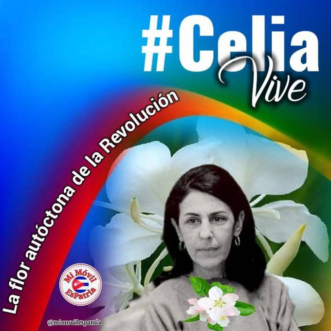 Cuanto ejemplo de valentía en una flor. Es imposible olvidar a la más autóctona de la Revolución Cubana. #CeliaVive en los corazones de los cubanos de esta #IslaRebelde