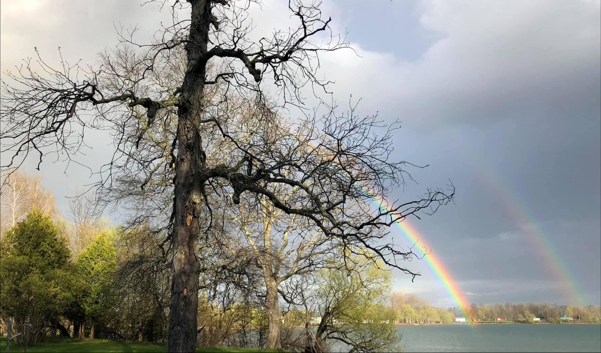 Rainbows and hickory nuts. Brown’s Bay and Brophy’s Point. Looking forward to Mother’s Day weekend. @swimdrinkfish