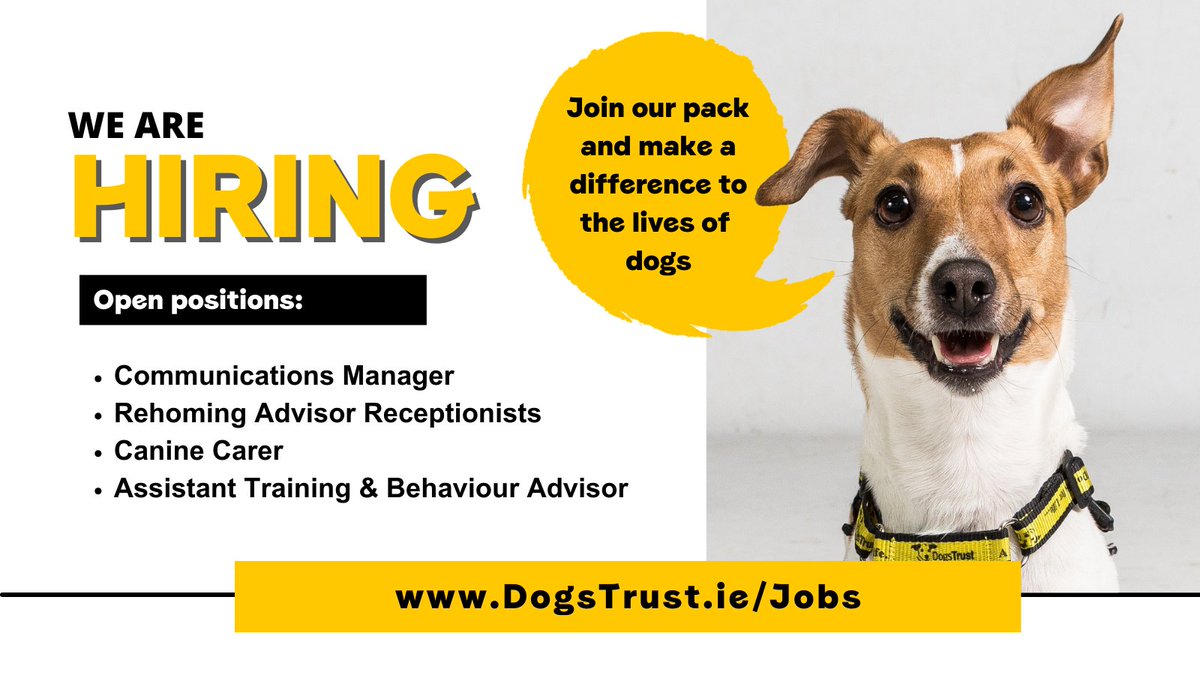 Do you love dogs and want to make a difference in their lives? Well we're hiring! Check out the roles we're hiring for below and find out more on our website: dogstrust.ie/support-us/joi…
#HiringNow #JobFairy