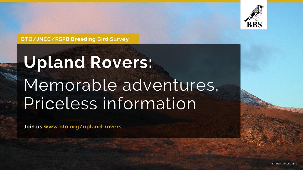 If you fancy a challenge, why not consider taking on an Upland Rovers square this year? There is still time to sign up for a 'Late' visit to a square. Most vacant squares are in Scotland, but there are also some elsewhere in the UK. More info here: bto.org/our-science/pr…