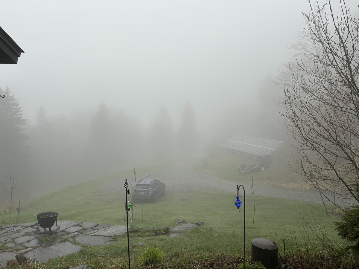 @NWSBurlington @wxpeterk @JessWCAX @WasilenkoAlex @HaleyBouleyWX @benfrechettewx A very foggy and chilly 39F this morning in Narnia…