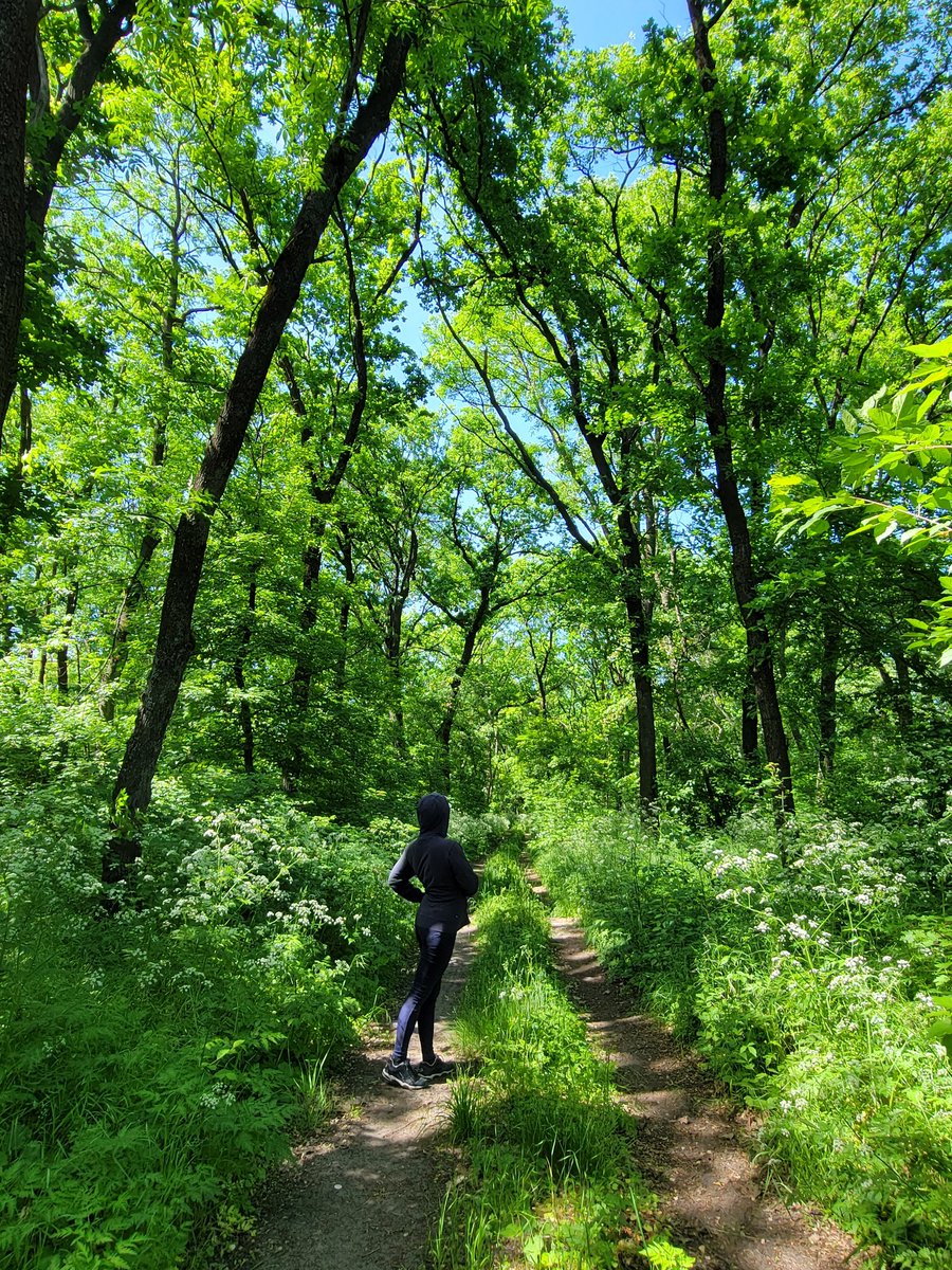 Lush

#woman #girl #beautiful #awesome #stunning #great #greenforest #summerforest #lush #Britain #UK #forestlover #rewilding #healthylifestyle #spectacular #naturelife #naturelovers #London #pretty #perfect #impeccamble #nice #summermood #mood #luxury #niceday #dayoff #Weekend