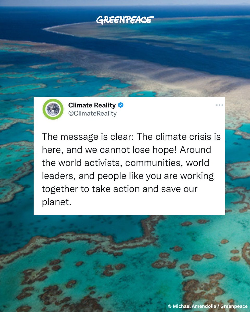 Today, let's applaud the unsung heroes in the battle against climate change. Their dedication and hard work inspires us all. Support them here 👉 bit.ly/3QAivv6