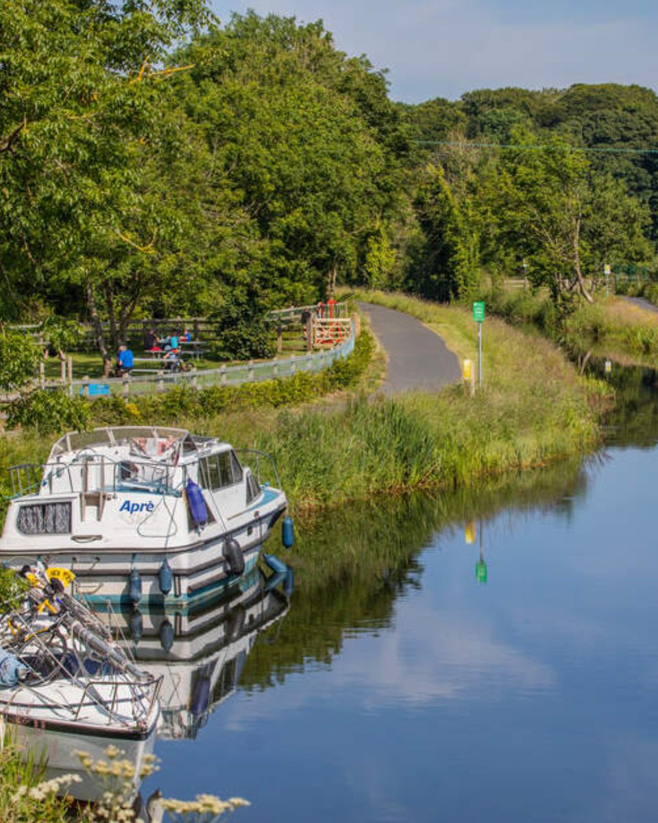 This #NationalBikeWeek, discover #IrelandsAncientEast one Greenway at a time!🚲 Here are three of our favs you can explore!👇 💚 Waterford Greenway 💚 Royal Canal Greenway 💚 Carlingford Lough Greenway 👉 - bit.ly/3WEAHaX 📸 munstervalesireland [IG] #KeepDiscovering