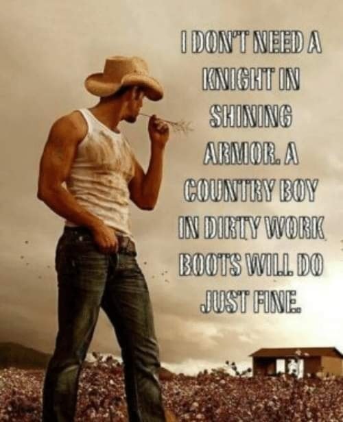Just fine indeed 😉 facebook.com/85480346654909… #CowboyLoveStory #WesternRomance #SmallTownRomance
