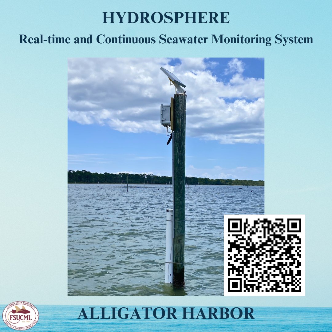 Curious about what's going on in our waters? Check out Hydrosphere - FSUCML's real-time, continuous seawater monitoring system! Get information on temperature, depth, salinity, and more! Questions? Email Beatriz - bmejiamercado@fsu.edu 🌊