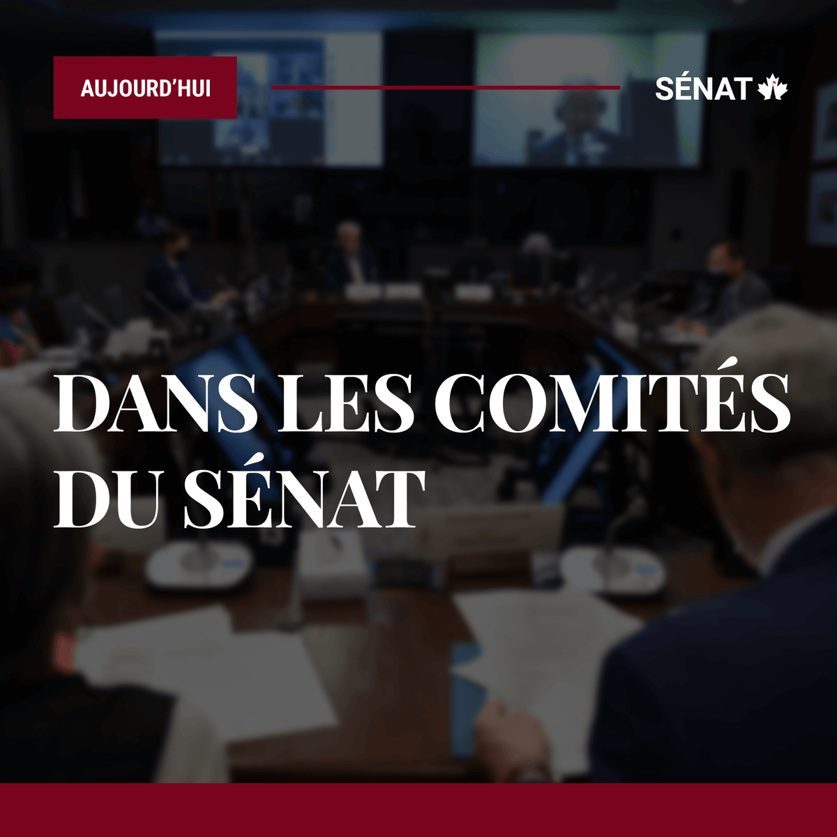 À l’étude en comité : #AGFO #FeuxDeForêt #POFO #Pêcheries #ENEV #C248 #ParcsNationaux #BANC #S243 #LFAC #AEFA #Afrique #SOCI #S249 #LCJC #C291

Horaire complet : ow.ly/YWu750RzKUI

#SenCA #PolCan