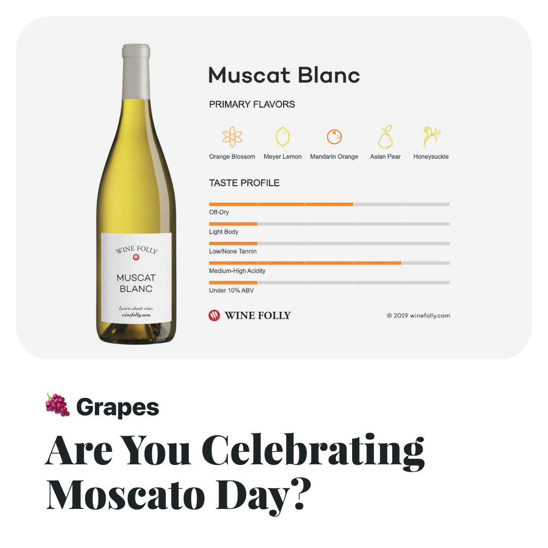 Celebrate National Moscato Day by learning about Muscat Blanc. Have you tried it before? 🍇 Learn more about this grape ➡️ loom.ly/ScB70gw #wine