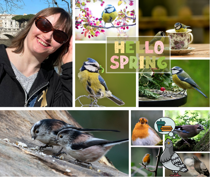 Feathered and fabulous! It's all about the birds in Kate's blog this week. Spring has arrived in her garden along with bird song and cheeky pigeons! Read it here 👉 loom.ly/JfQc4BA #WeeklyBlog #Spring #Birdsong