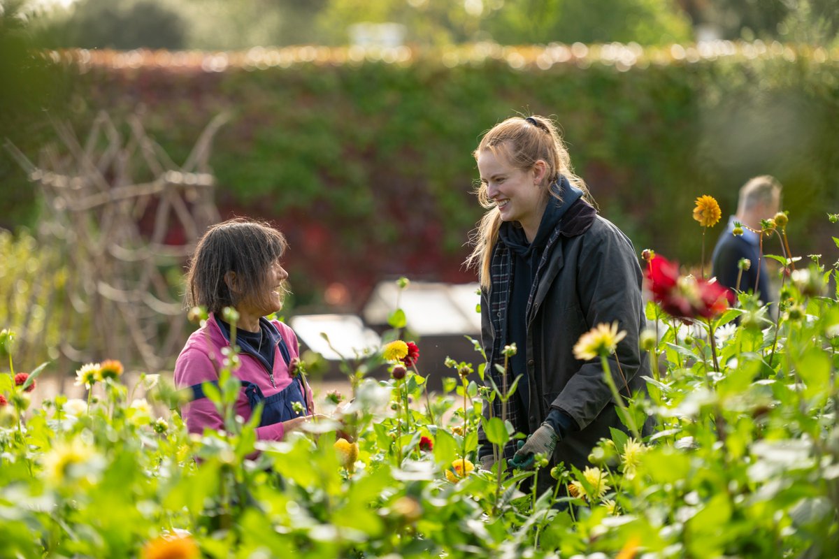 Everyone is invited to get their hands dirty this May half-term and garden together with us! Taking place on Friday 31 May, join us in our beautiful historic gardens. This free event is fun for all, including families! Find out more chiswickhouseandgardens.org.uk/event/gardenin….