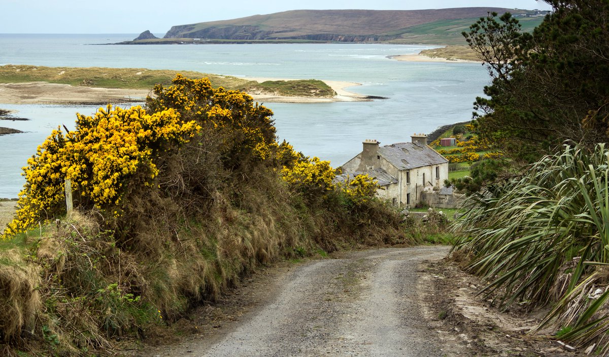 Do you have a vacant/derelict property that can be brought back to use or are interested in improving energy performance? Come along & hear short presentations from our Vacant Homes Officer ➡️ Castlebar Scout Den & Comm. Centre, Castlebar, F23PF59 ➡️ Wed. May 15th 5.30pm-8.30pm