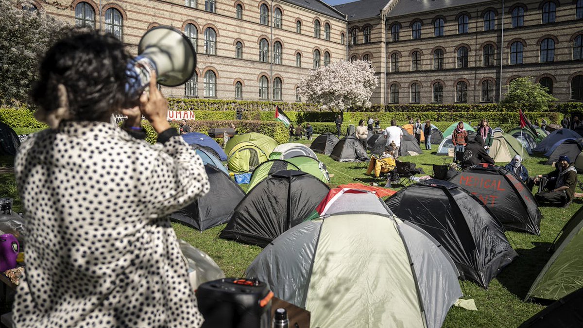 Demonstranter i teltlejr med skarp kritik af Københavns Universitet nyheder.tv2.dk/samfund/2024-0…