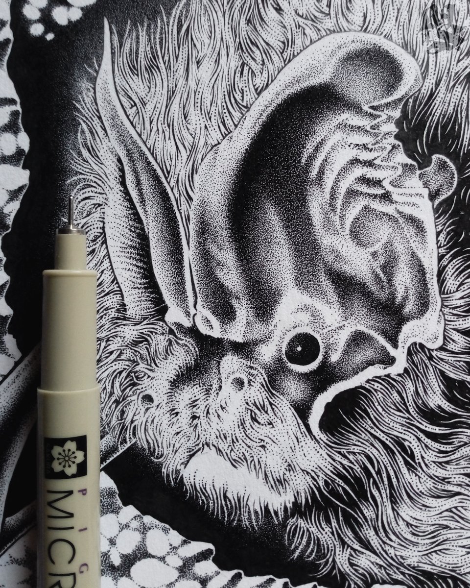 A little throwback to this bat #illustration I finished earlier this year. #art #penandink #animalart #bat