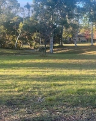 Regional Wine and Beverage Merchants tweet media