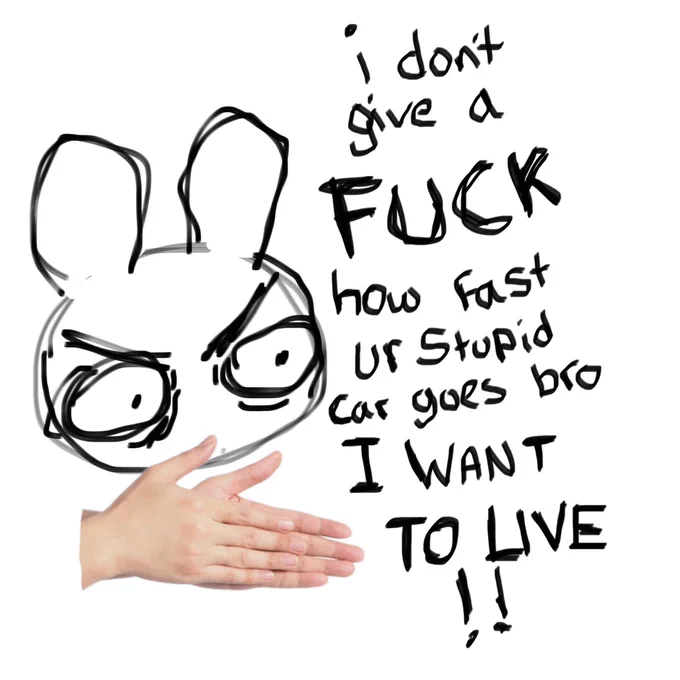 I made this a year ago before I got my license. And now that I do, I'd like to add USE YOUR DAMN SIGNALS!!! IF IT SAYS NO TURN ON RED I AINT TURNIN BEEP AT YA MAMA. 