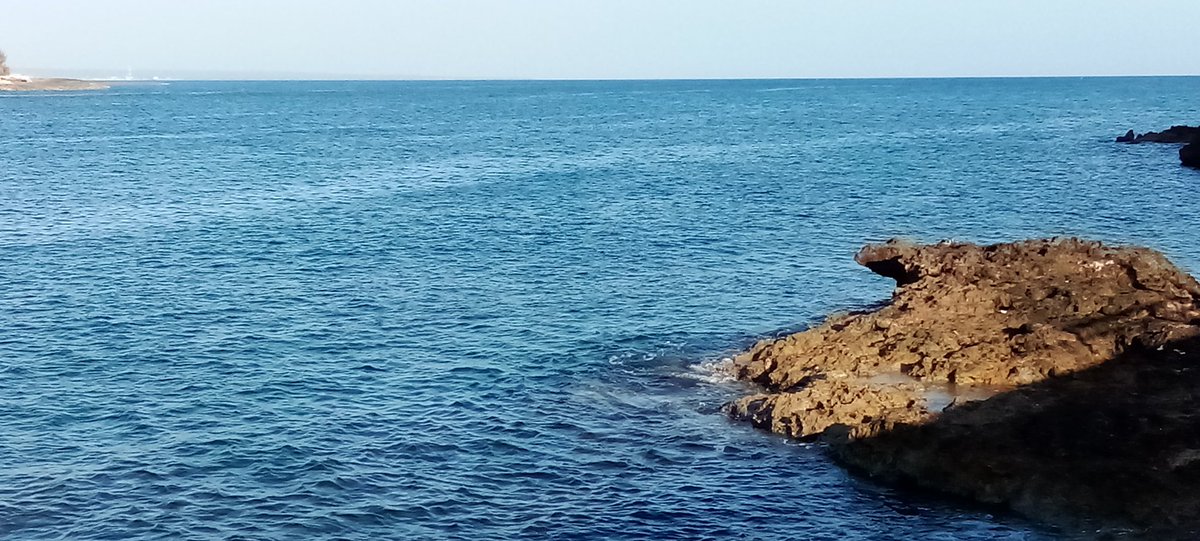 Buenos días #cubanas, #cubanos y amigos de todo el 🌎. Así son las bellezas naturales de mi #Cuba🇨🇺. Nuestro mar azul impresiona por su color #ParaísoTropical #Naturaleza #Ecosistemas
