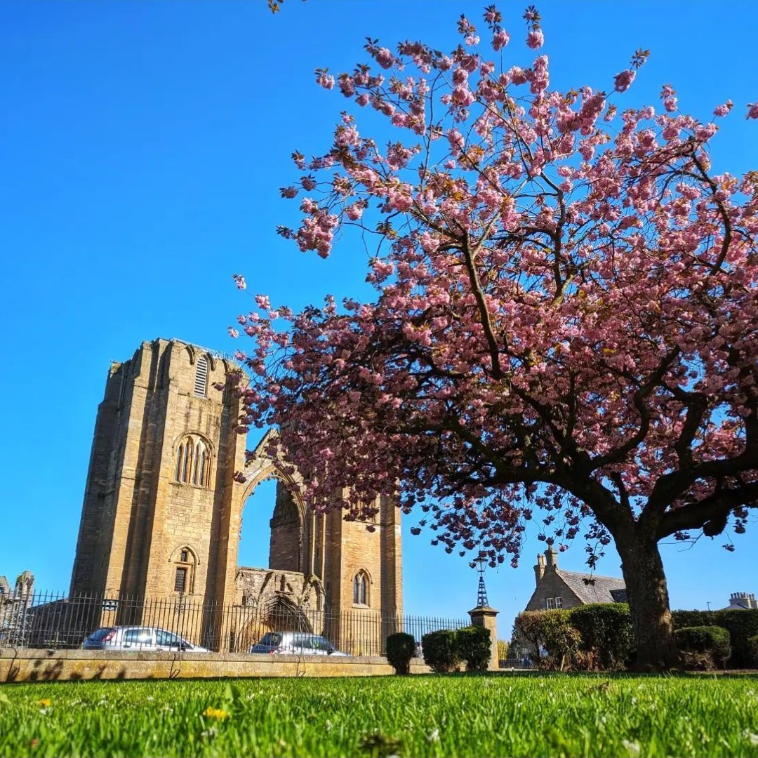 Come visit Elgin Cathedral in Scotland, an ancient and beautiful building with a long-storied history! 📜 #EscapeYourEveryday This fascinating medieval gem was built in the 13th century. 🛠️ morayspeyside.com 📌 - Elgin Cathedral, Moray Speyside 📷 - pawelwks (IG)