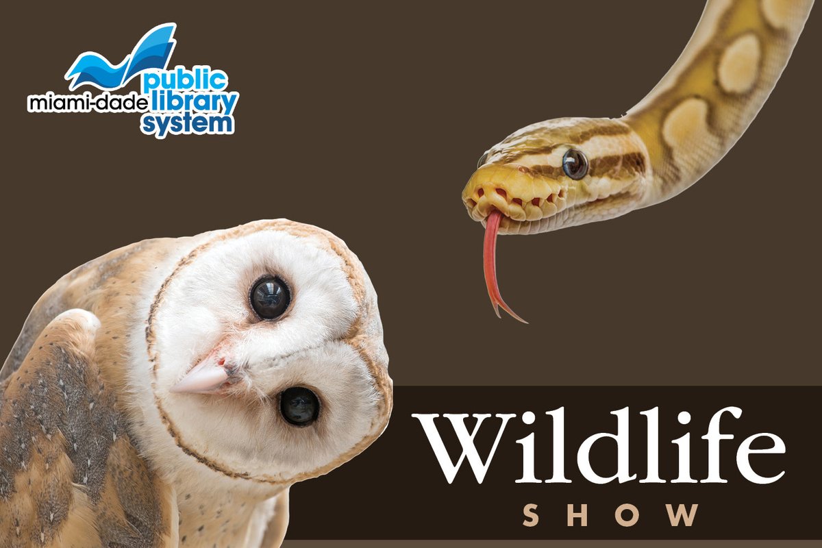Join us for the ultimate animal encounter at the California Club Branch Library! Meet a variety of friendly critters Saturday, May 11 at 1 p.m. during this presentation led by an experienced animal trainer. spr.ly/6015jUgK5